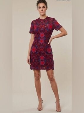 Sandro Red Guipure Lace Mini Dress | Embroidered Crochet Lace Dress